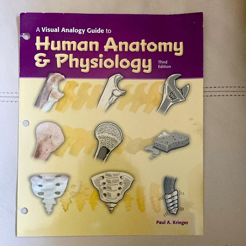 A visual analogy guide to human anatomy and physiology third edition